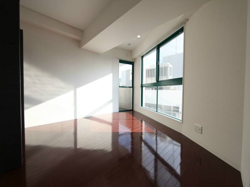 その他部屋・スペース　洋室8.7帖　クローゼット　収納充実してます