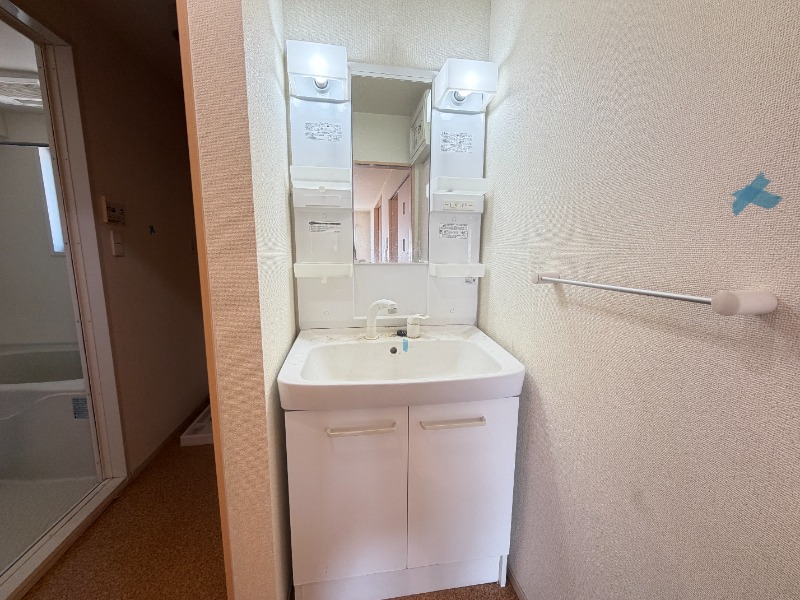 洗面設備　２０４号室の写真