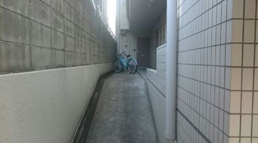 パレ丸善の外観写真