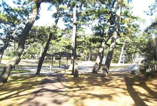 公園　千本公園（公園）まで1100m