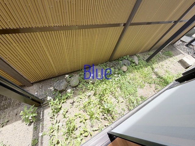 庭