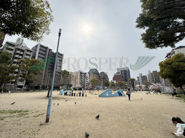 公園　南大江公園（公園）まで267m