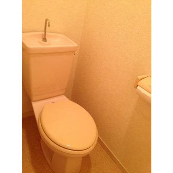 トイレ　トイレも気になるポイント