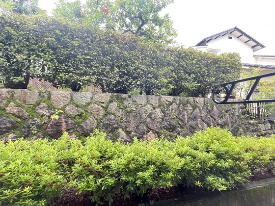 眺望　※別部屋の写真です