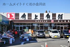 スーパー　角上魚類 小平店（スーパー）まで786m