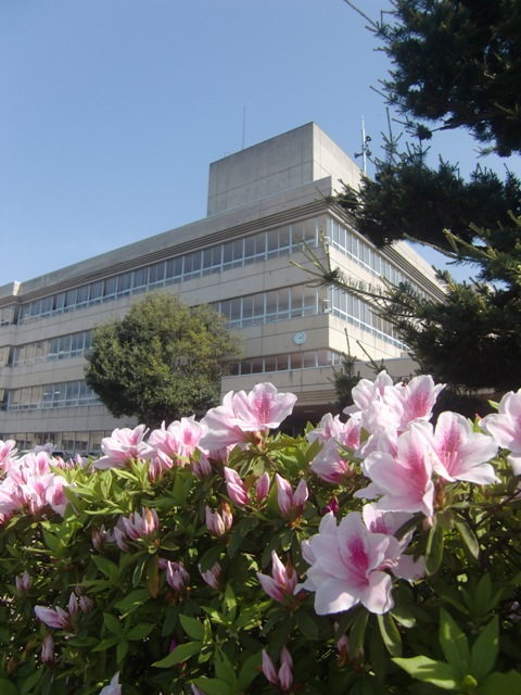 小学校　野々市市立館野小学校（小学校）まで292m
