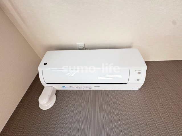 プラシッド ピュールのその他写真