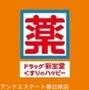 ドラックストア　ドラッグ新生堂昇町店（ドラッグストア）まで521m