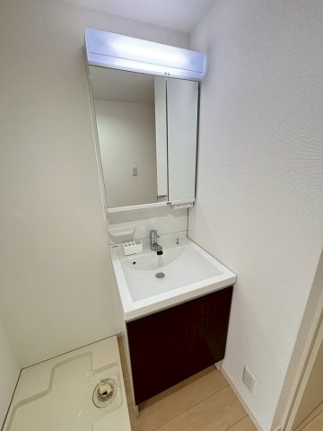 洗面設備　同物件、別号室の写真です。