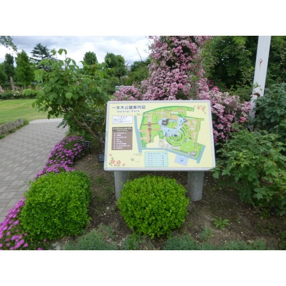 公園　一本木公園（公園）まで983m