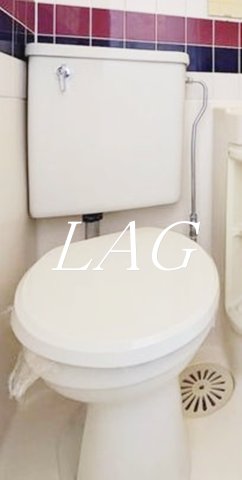 トイレ　トイレです。