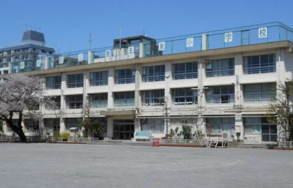 小学校　練馬区立豊玉東小学校（小学校）まで895m