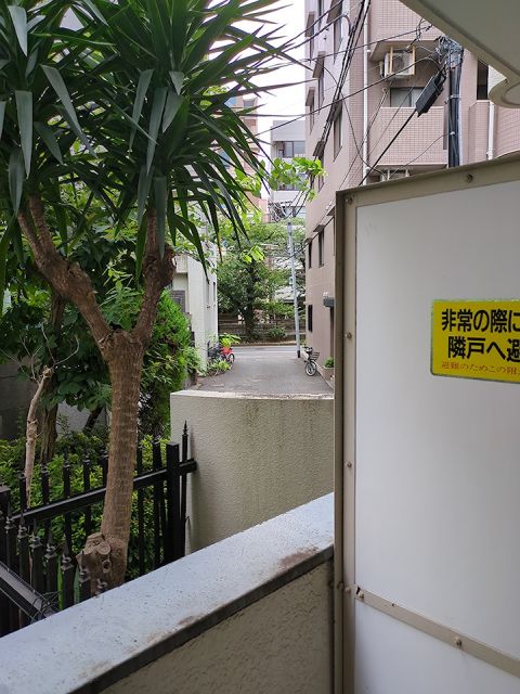 眺望
