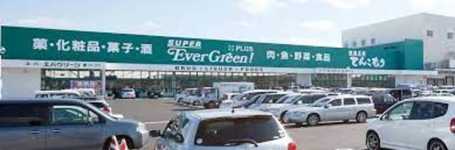 ドラックストア　スーパーエバグリーンプラス和歌山北インター店（ドラッグストア）まで1865m