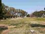 その他　松の木公園（その他）まで161m