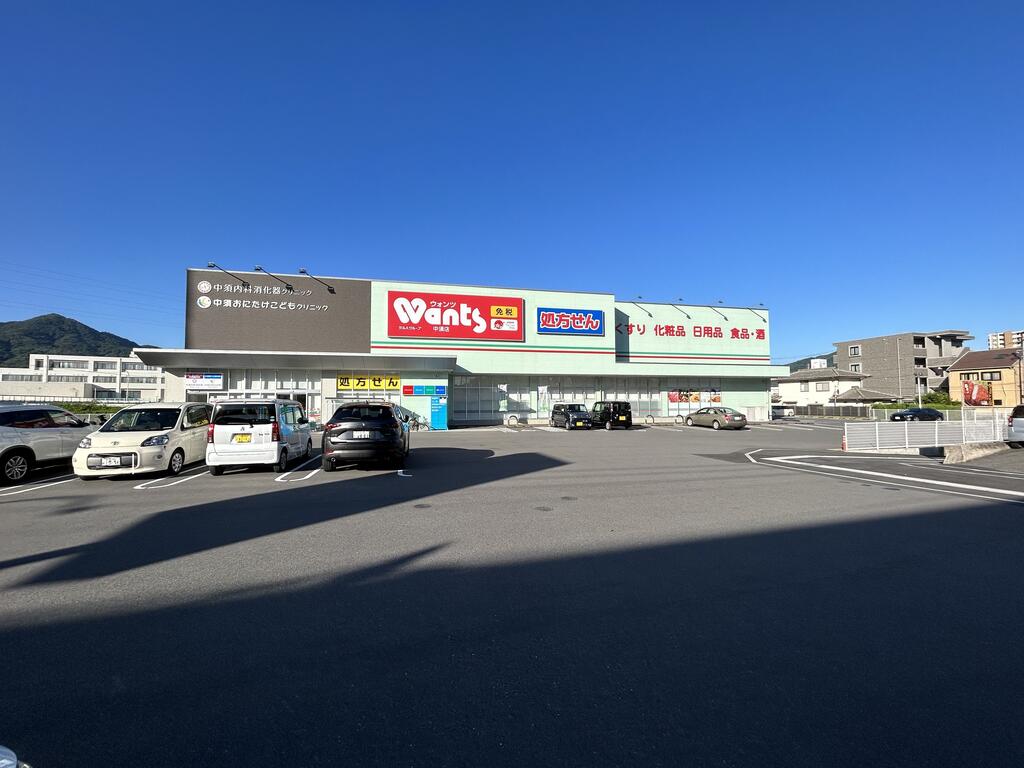 ドラックストア　ウォンツ中須店（ドラッグストア）まで700m