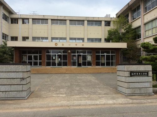 小学校　福井市湊小学校（小学校）まで350m