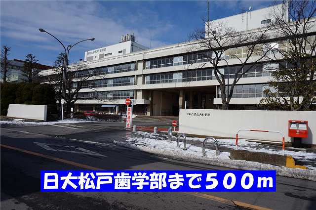 大学・短大　日大松戸歯学部（大学・短大）まで500m