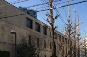 小学校　港区立赤羽小学校（小学校）まで453m