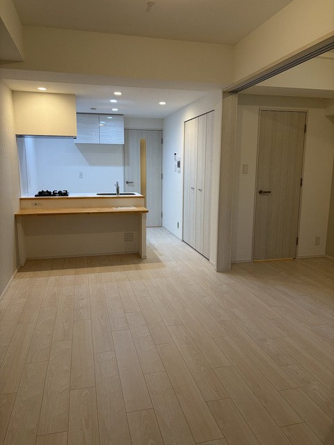 スプランディッド堺東IIIの居間写真
