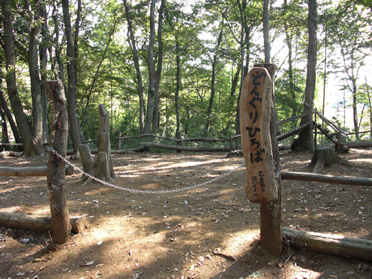 幼稚園・保育園　八王子ひまわり保育園（幼稚園・保育園）まで808m