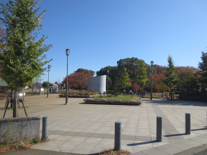 公園　湘南台公園（公園）まで666m