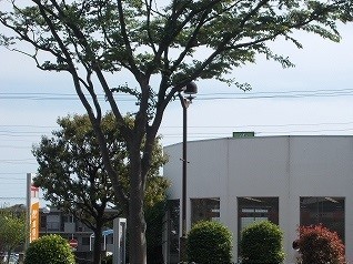郵便局　郵便局（郵便局）まで850m