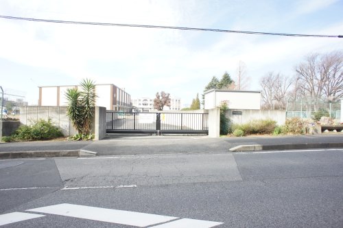 中学校　柏市立柏中学校（中学校）まで241m