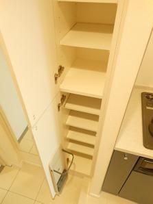 玄関　（別タイプ参考写真）グランド・ガーラ池袋　豊島区池袋本町2