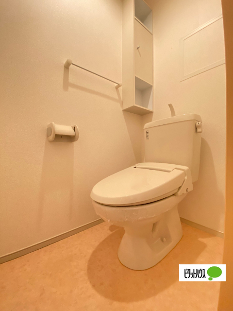 カーサカリーノDのトイレ写真