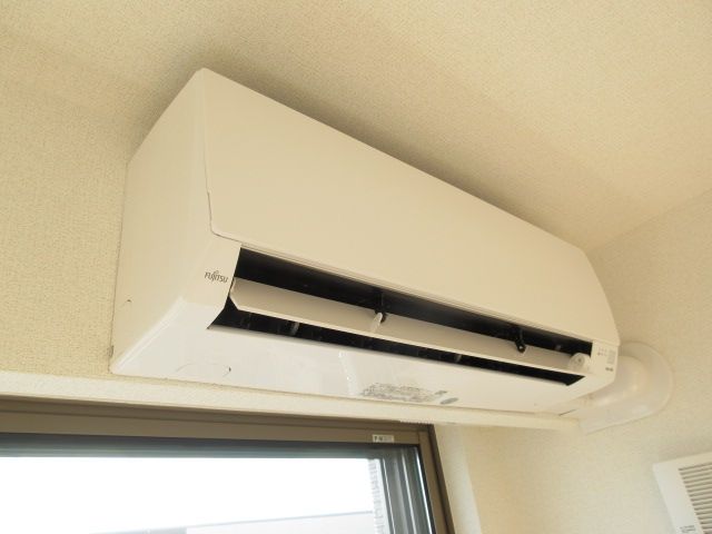 グローブ タカのその他写真