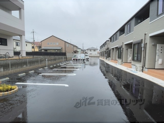 シエーネのその他写真