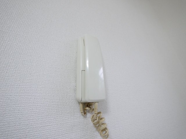 セキュリティ　インターホーン