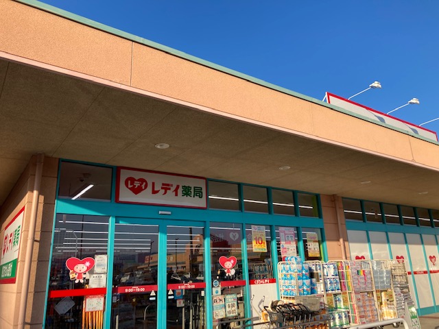 ドラックストア　レデイ薬局十川店（ドラッグストア）まで1053m