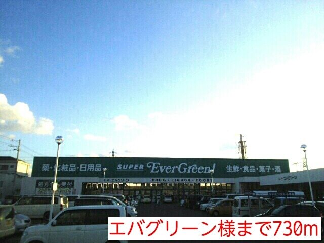 スーパー　エバグリーン様（スーパー）まで730m