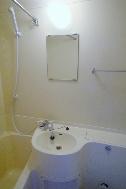 洗面設備　写真は３０９号室