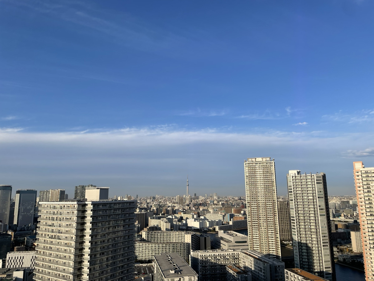 眺望　スカイツリーが正面に