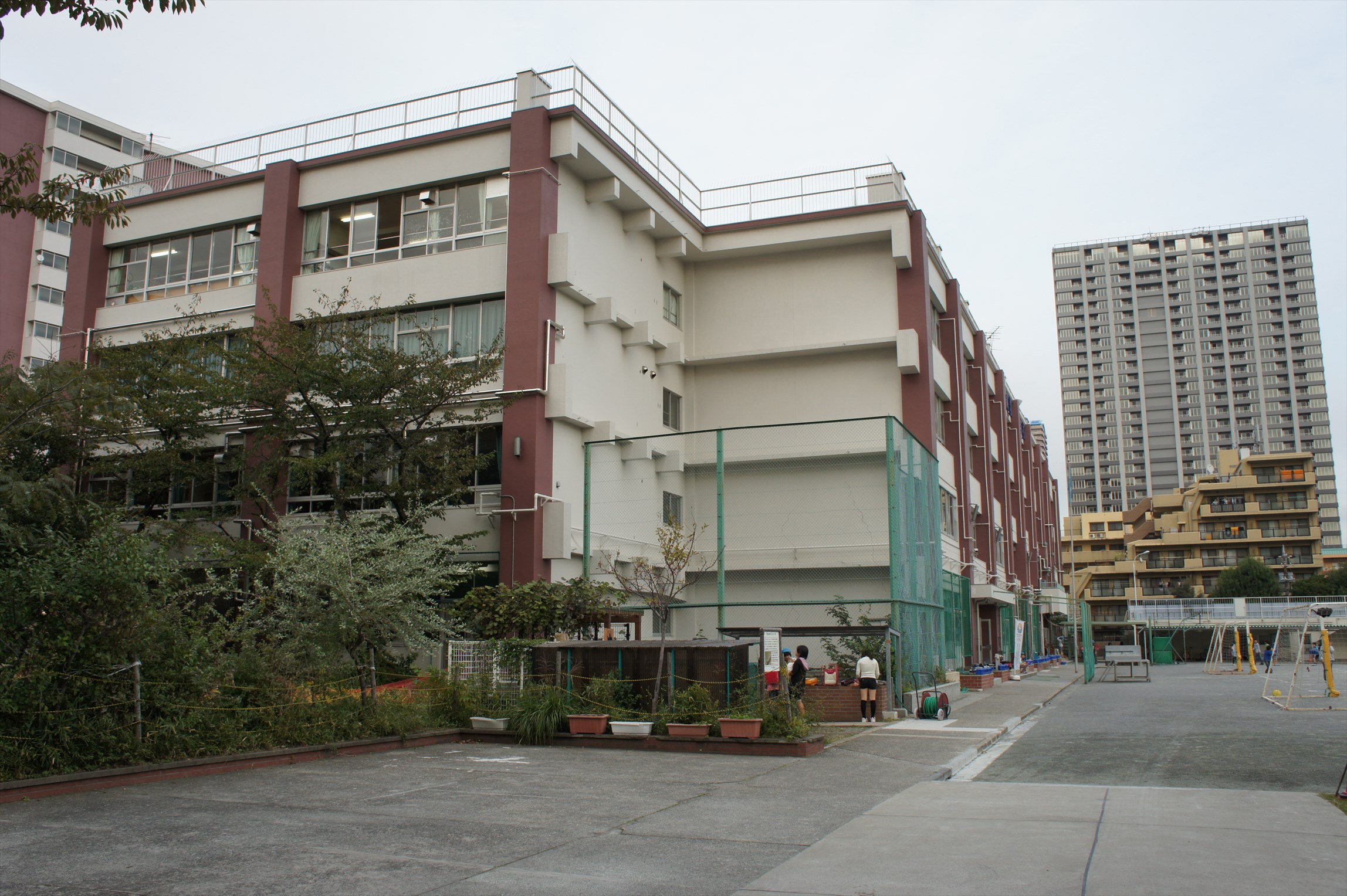 小学校　江東区立東雲小学校（小学校）まで595m