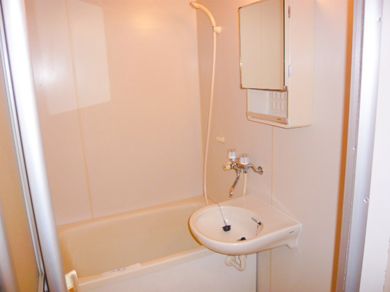 バス・シャワールーム　※別部屋の写真です