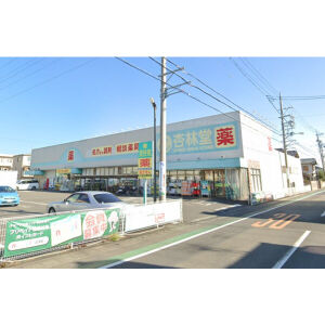 コンビニ　杏林堂薬局静岡登呂店（コンビニ）まで260m