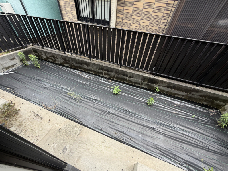 庭