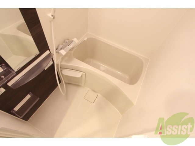 バス・シャワールーム　同タイプ別号室の写真になります。