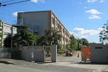小学校　池田市立緑丘小学校（小学校）まで664m