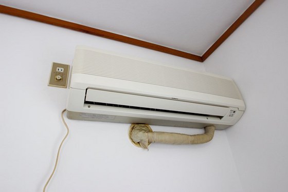 その他設備　※別号室のお写真となります。