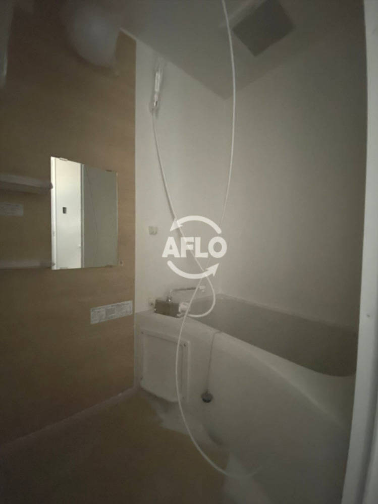 バス・シャワールーム　GRAND STEADY天王寺町　浴室