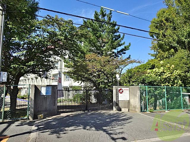 小学校　野畑小学校（小学校）まで250m