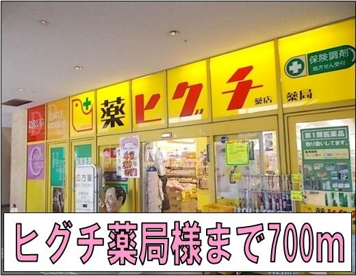 ドラックストア　ヒグチ薬局様（ドラッグストア）まで700m