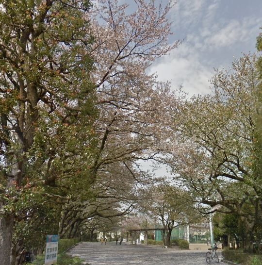 公園　柴崎公園（公園）まで769m