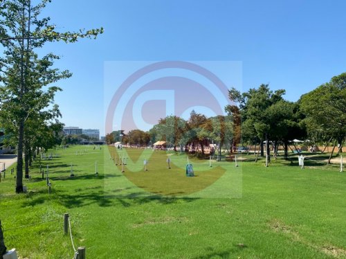 公園　天王寺公園エントランスエリア てんしば（公園）まで363m