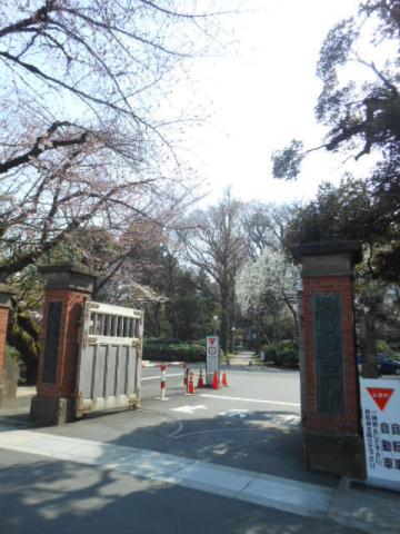 その他　【大学】学習院大学（その他）まで220m
